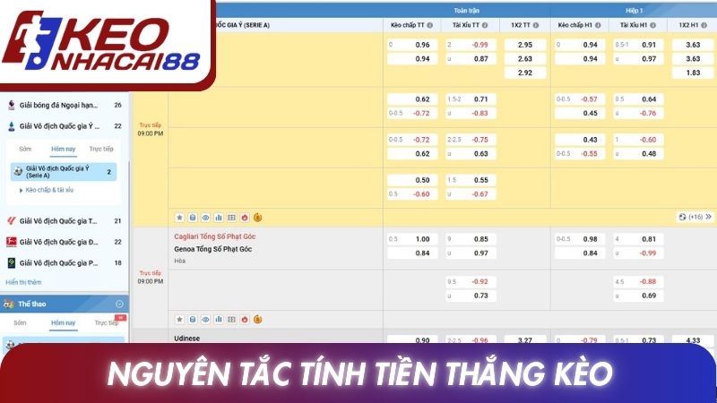 Tỷ Lệ Cược Malaysia: Cách Hiểu Và Phân Tích Chuẩn Xác Nhất 3 Nguyên tắc tính tiền thắng kèo